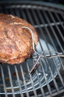 Big Green Egg Eggenius Temperatuur Controller 13 Big Green Egg Eggenius Temperatuur Controller -Barbecue In De Thuiskeuken big green egg eggenius temperatuur controller 4