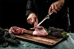 Forged Olive Uitbeenmes 16cm 7 Forged Olive Uitbeenmes 16cm -Barbecue In De Thuiskeuken forged olive uitbeenmes 16cm 2